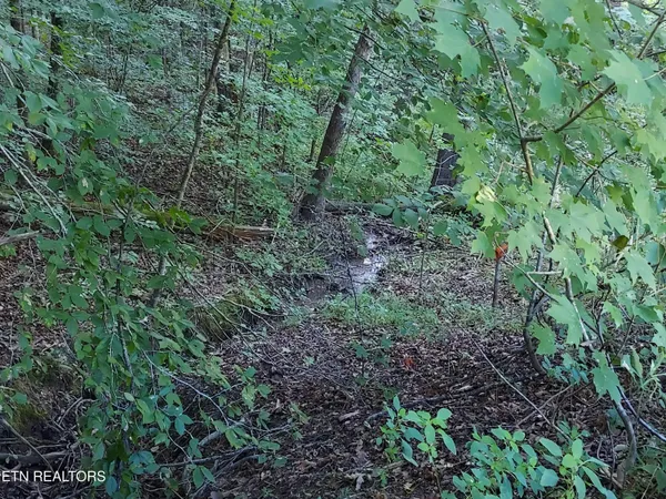 $459,900 | 332 Sleepy Hollow, Sneedville, TN 37869