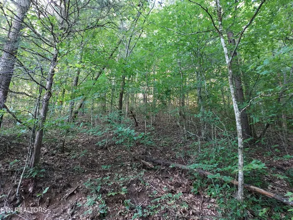 $459,900 | 332 Sleepy Hollow, Sneedville, TN 37869