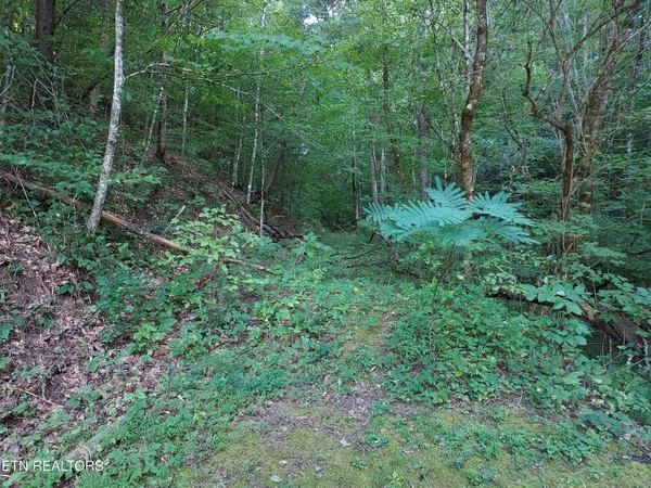 $459,900 | 332 Sleepy Hollow, Sneedville, TN 37869