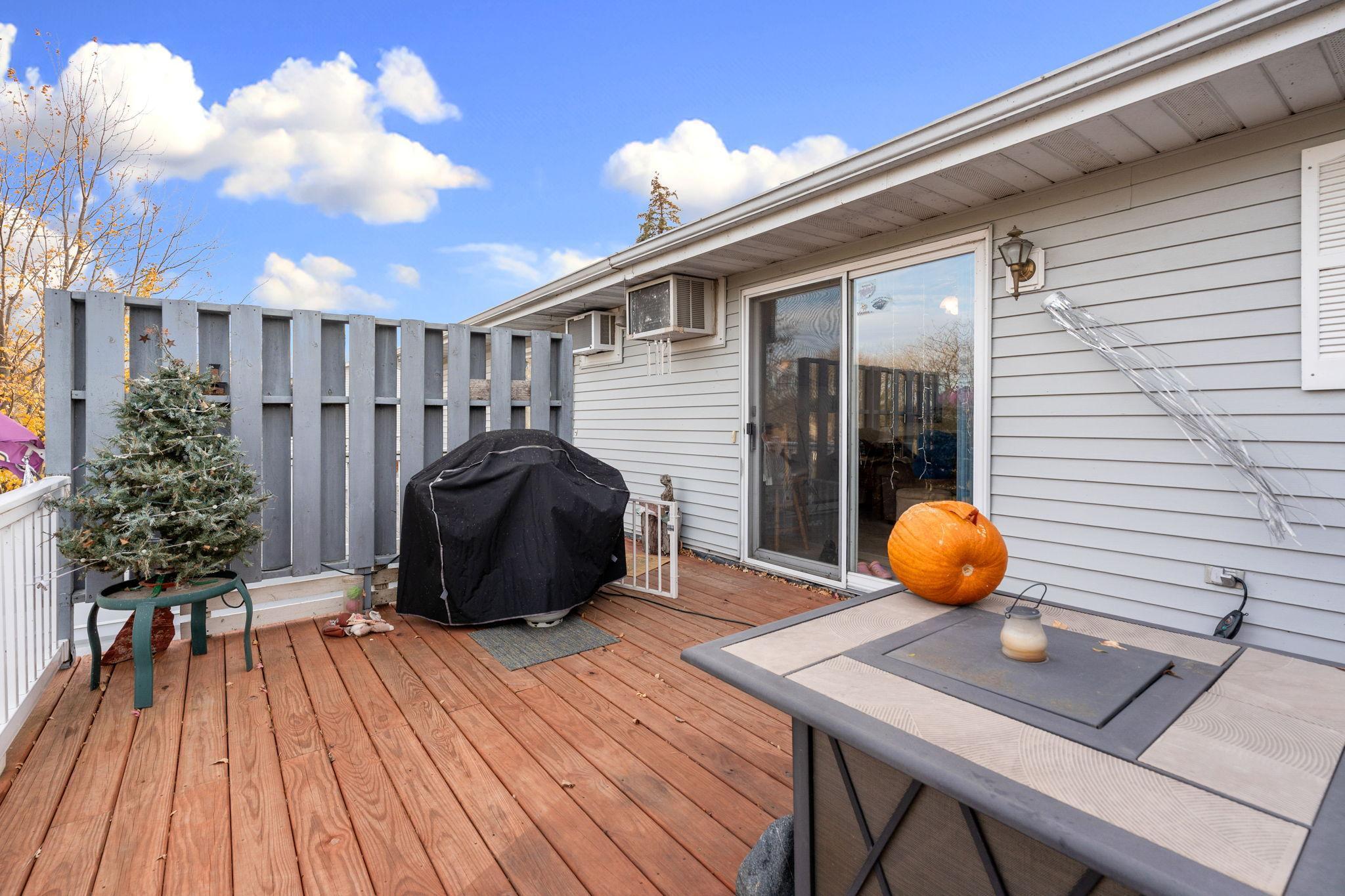 14743 Snake Trail Waseca, MN 56093 - Photo 13 of 37