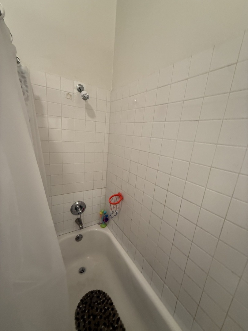 4036 West Lexington Street Chicago, IL 60624 - Photo 16 of 17