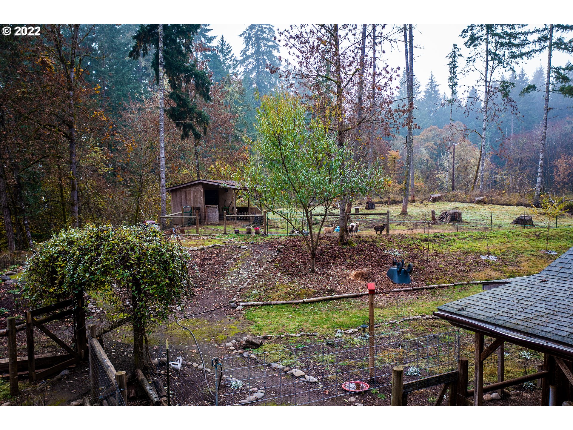 24514 Butler Road Junction City, OR 97448 - Photo 31 of 32 Garden