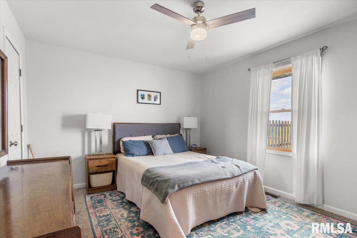 113 Eagle Ridge Drive Chatham, IL 62629 - Photo 16 of 25