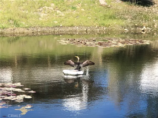 $270,000 | 35109 Highway 79, Unit 178, Warner Springs, CA 92086