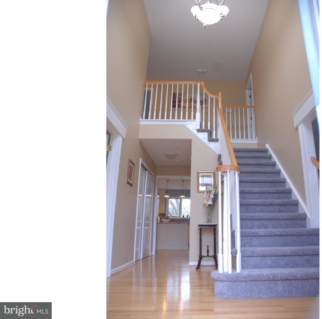 34 Rocking Horse Way Holland, PA 18966 - Photo 1 of 11 Foyer