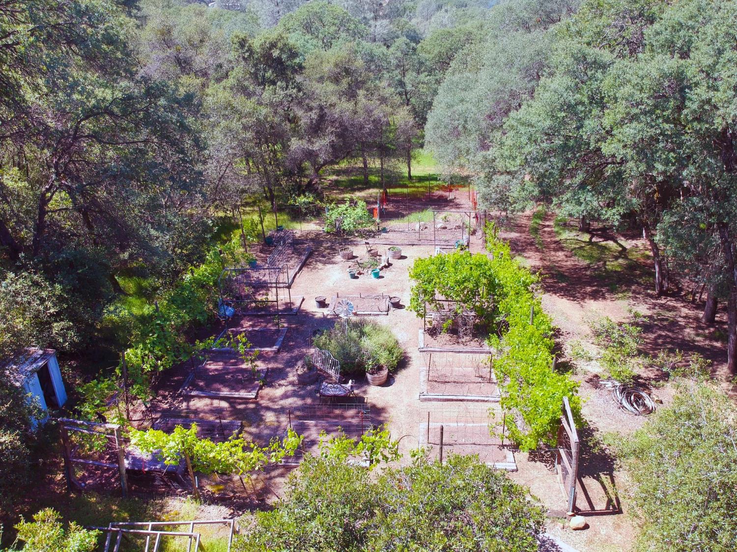 3720 Four Springs Drive Rescue, CA 95672 - Photo 27 of 34 a view of a garden with flowers