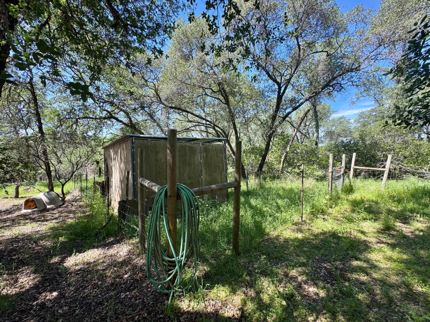 3720 Four Springs Drive Rescue, CA 95672 - Photo 28 of 34 a backyard of a house with lots of green space