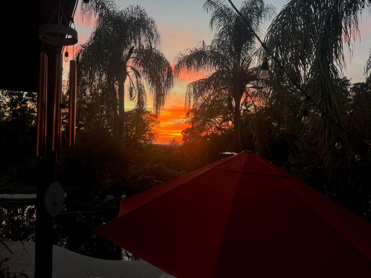 3720 Four Springs Drive Rescue, CA 95672 - Photo 30 of 34