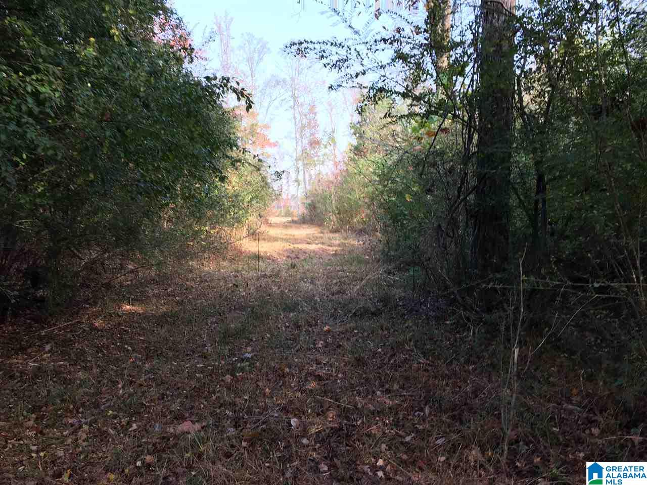 0 Wooden Trace Circle, Unit 30 Springville, AL 35146 - Photo 15 of 25