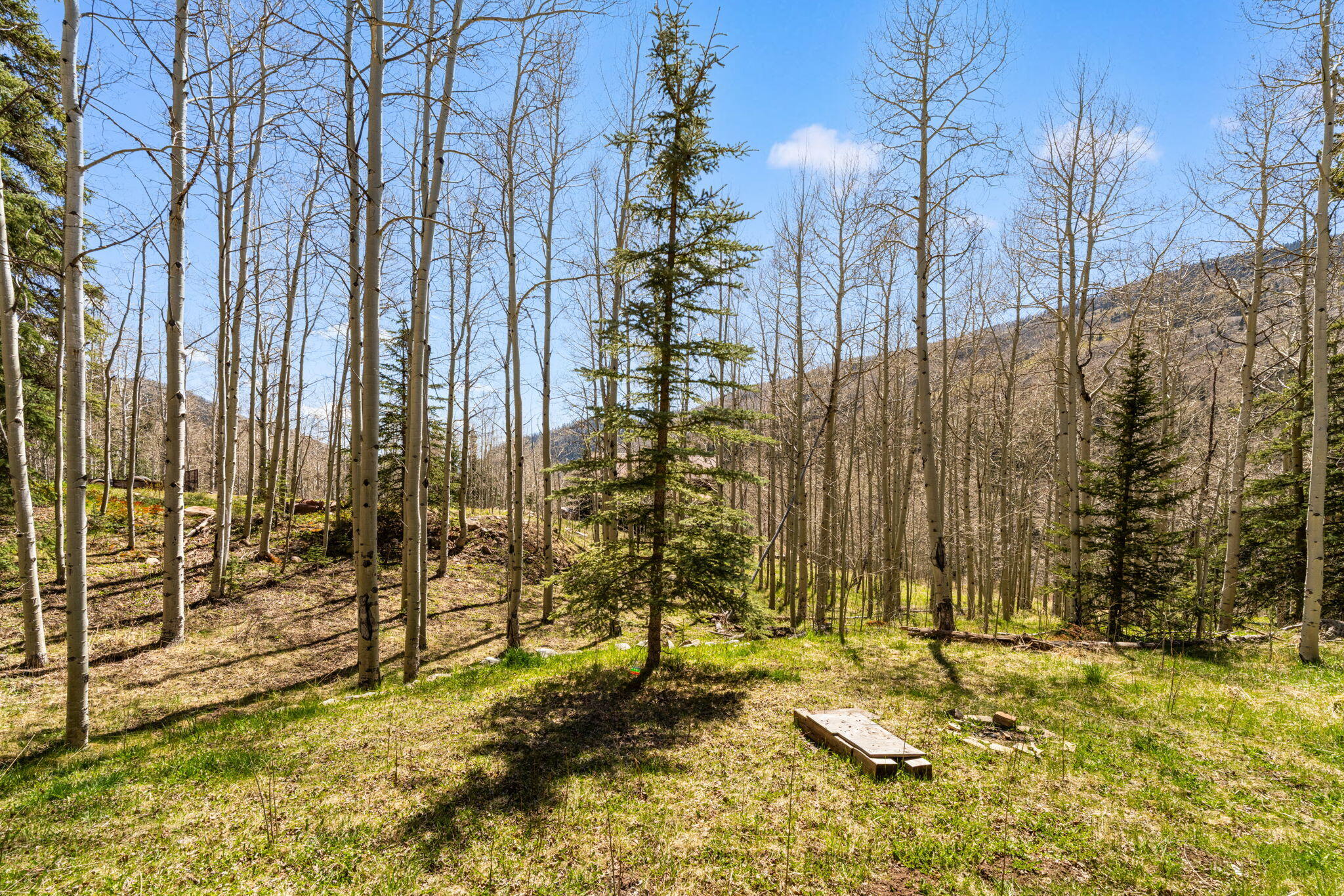 454 Silverglance Way Rico, CO 81332 - Photo 12 of 28 454 Silverglance