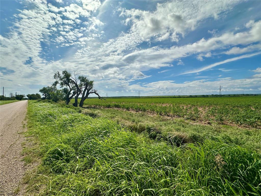409 County Road 409 Merkel, TX 79536 - Photo 3 of 8 a view of a yard