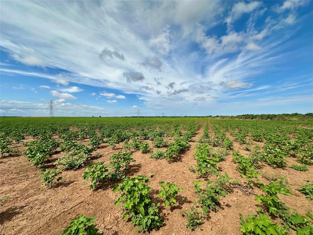 409 County Road 409 Merkel, TX 79536 - Photo 4 of 8 a view of beach and ocean