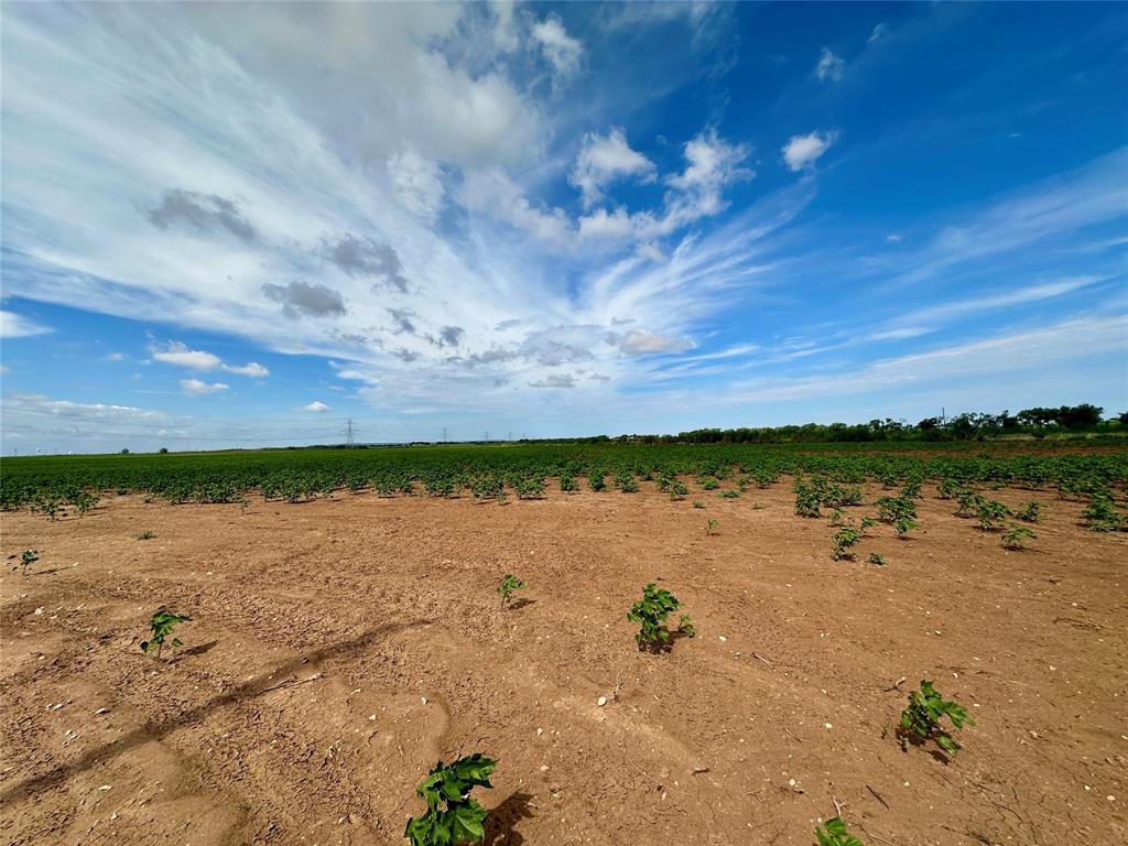 409 County Road 409 Merkel, TX 79536 - Photo 6 of 8 a view of a lake