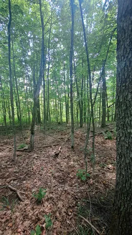 $35,000 | 44 Antler Loop, Unit 10, West Dover, VT 05356