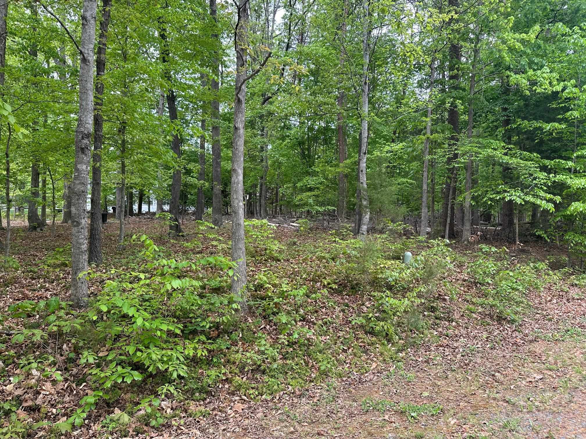 4 East Point Road Palmyra, VA 22963 - Photo 2 of 11 Gallery Image 2