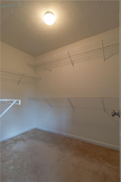 239 Maple Ridge Drive Canonsburg, PA 15317 - Photo 7 of 22 Master Closet