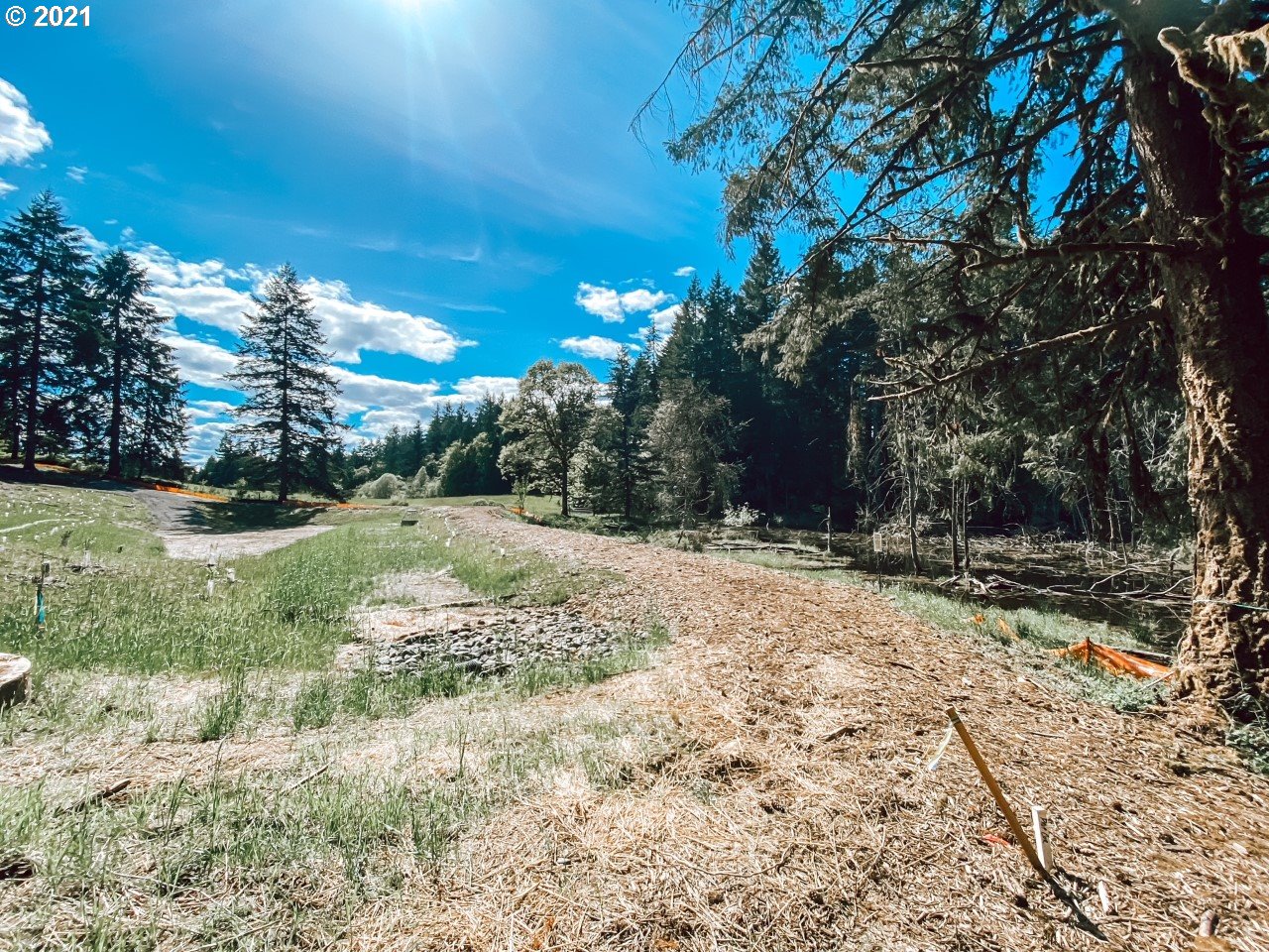 2917 North Mccanta Way Ridgefield, WA 98642 - Photo 19 of 22 a view of a yard with a tree
