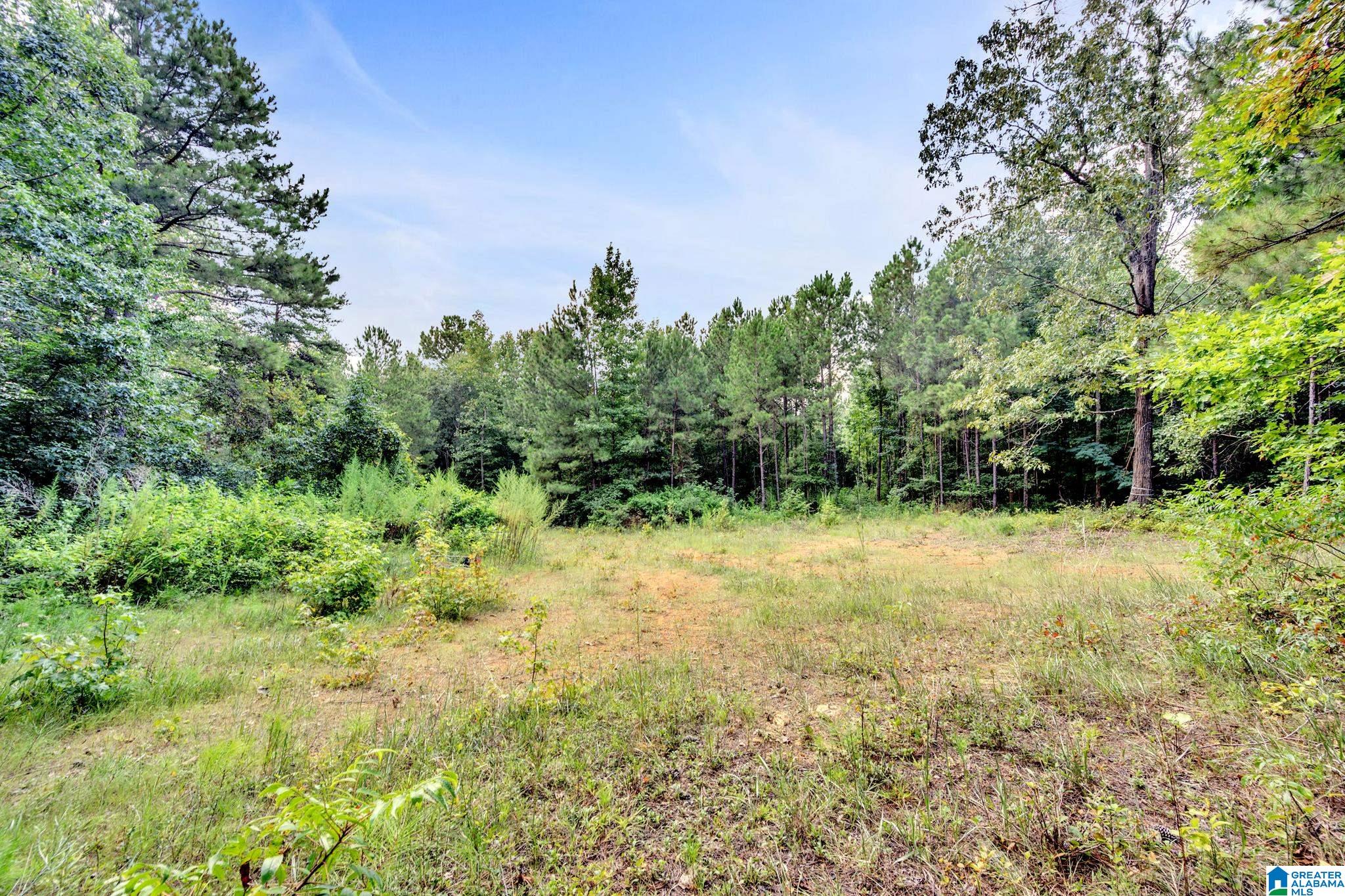 6971 Chambers Lane, Unit 1 Dora, AL 35062 - Photo 6 of 21