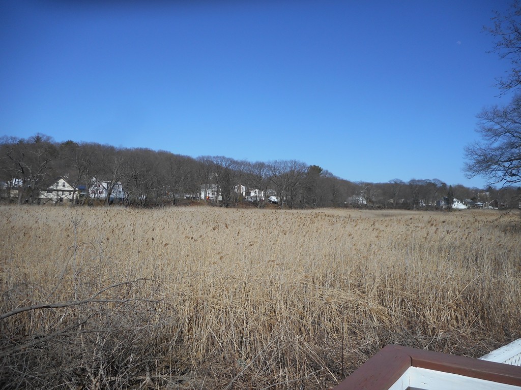 60 R Jasper Street Saugus, MA 01906 - Photo 8 of 20 Gallery Image 8