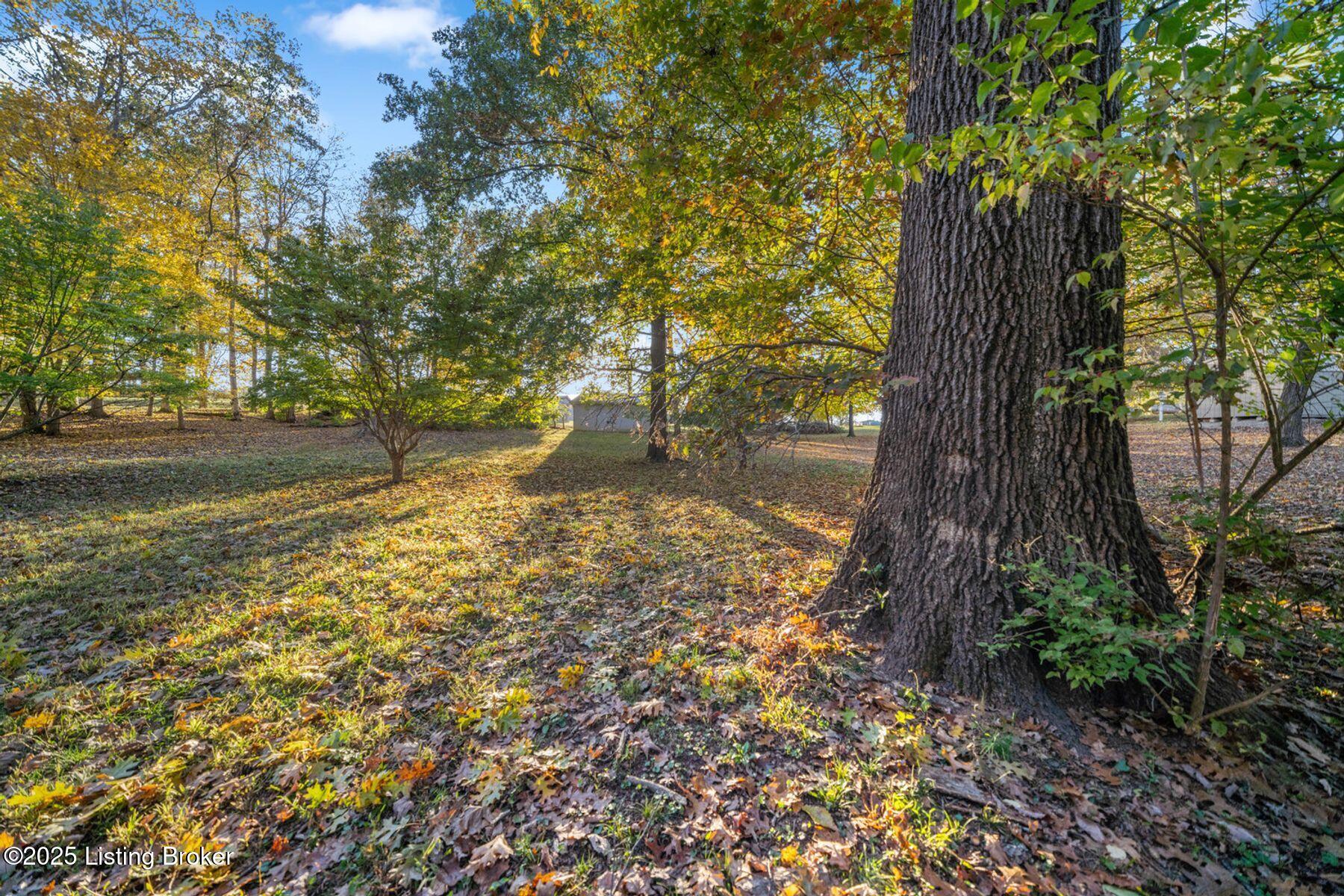 397 Partridge Run Road Shepherdsville, KY 40165 - Photo 59 of 74 photo_online_057