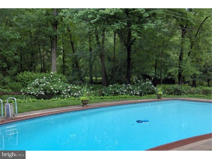 403 Graystone Road Ambler, PA 19002 - Photo 14 of 15 Pool