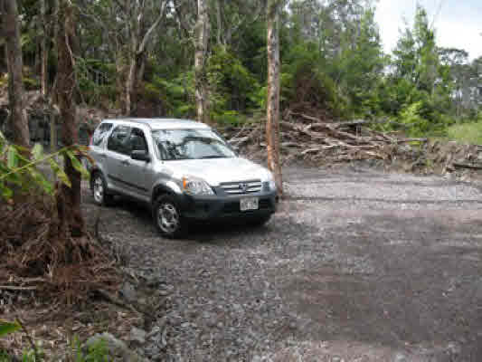 Lot C Old Volcano Road Volcano, HI 96785 - Photo 10 of 18 a view of a yard with a car parked in it