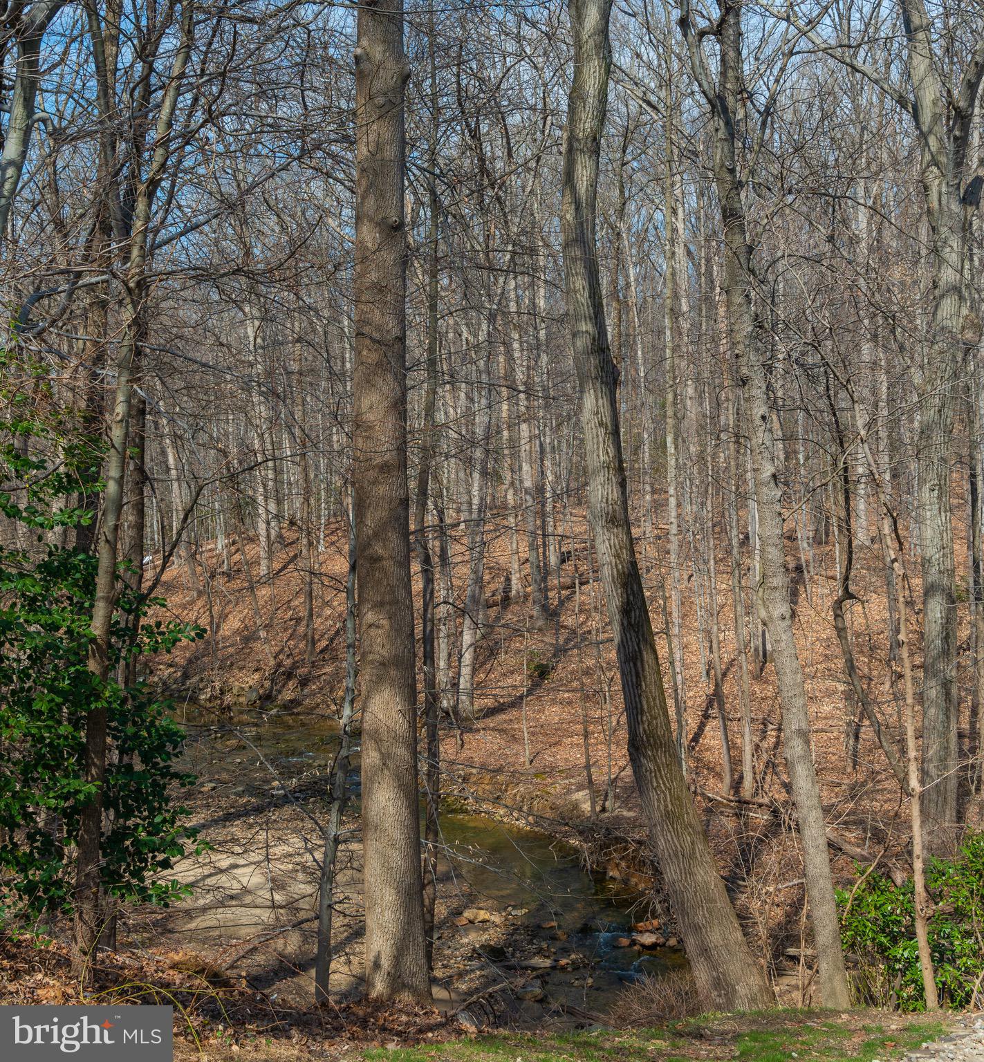 15793 Haynes Road Laurel, MD 20707 - Photo 3 of 25 Gallery Image 3