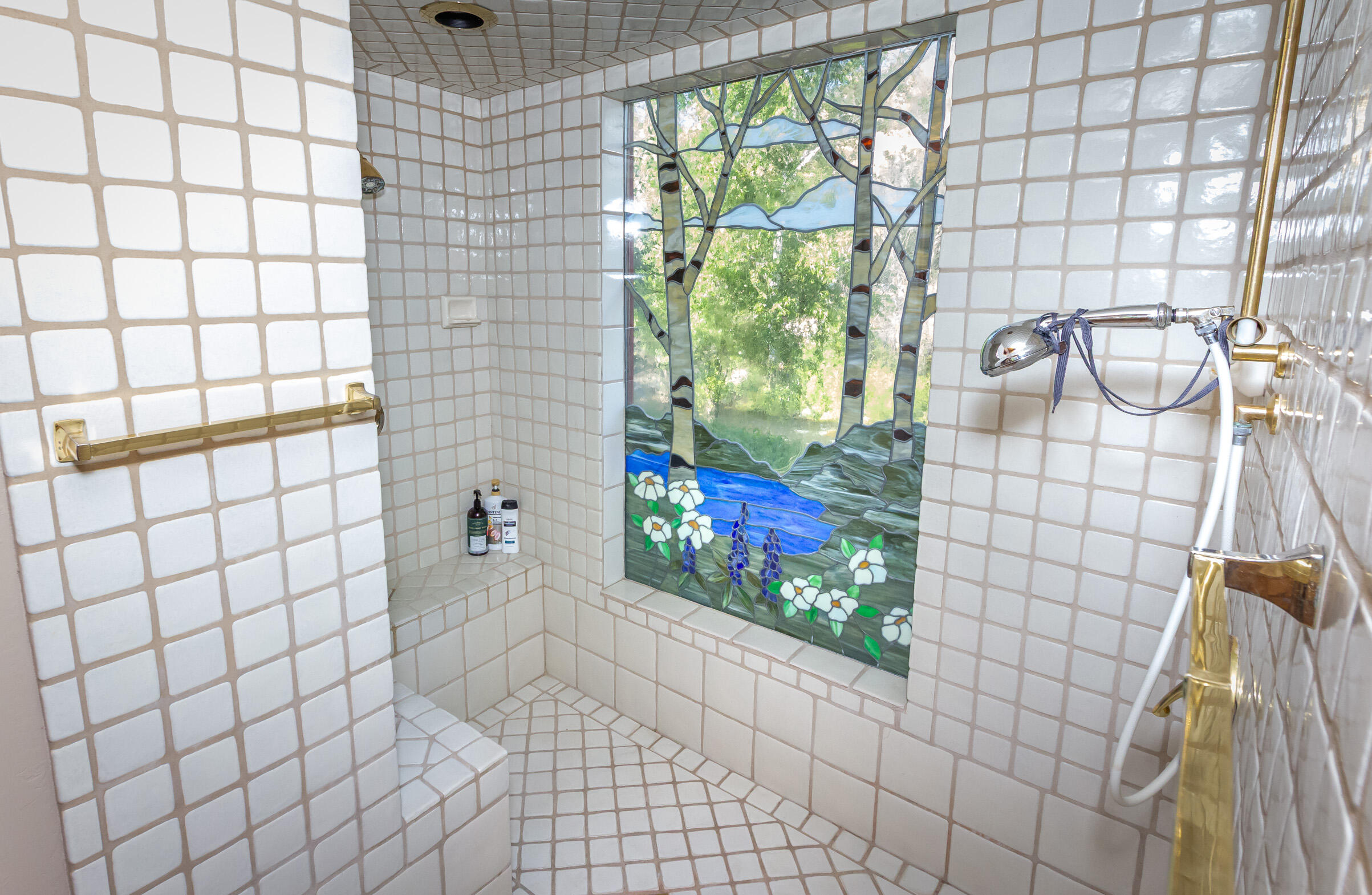 44575 South Fork Drive Three Rivers, CA 93271 - Photo 31 of 59 Stained Glass Shower 2