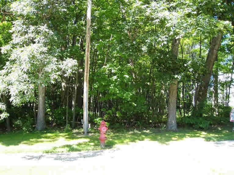 0 Thompson Howell, MI 48843 - Photo 7 of 12