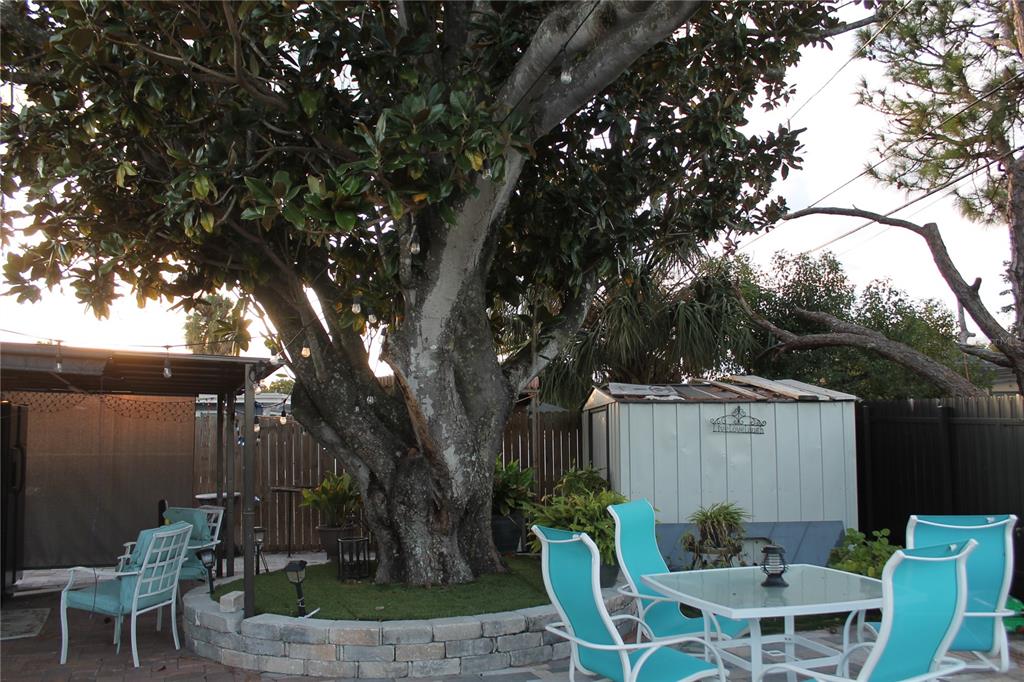7423 Star Dust Drive Port Richey, FL 34668 - Photo 21 of 23 a view of backyard with table and chairs and a large tree