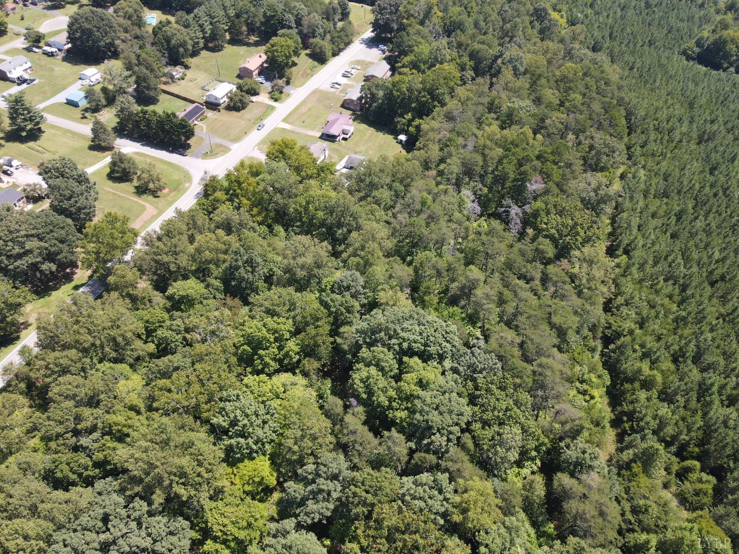 0 Gladys Road Altavista, VA 24517 - Photo 3 of 7