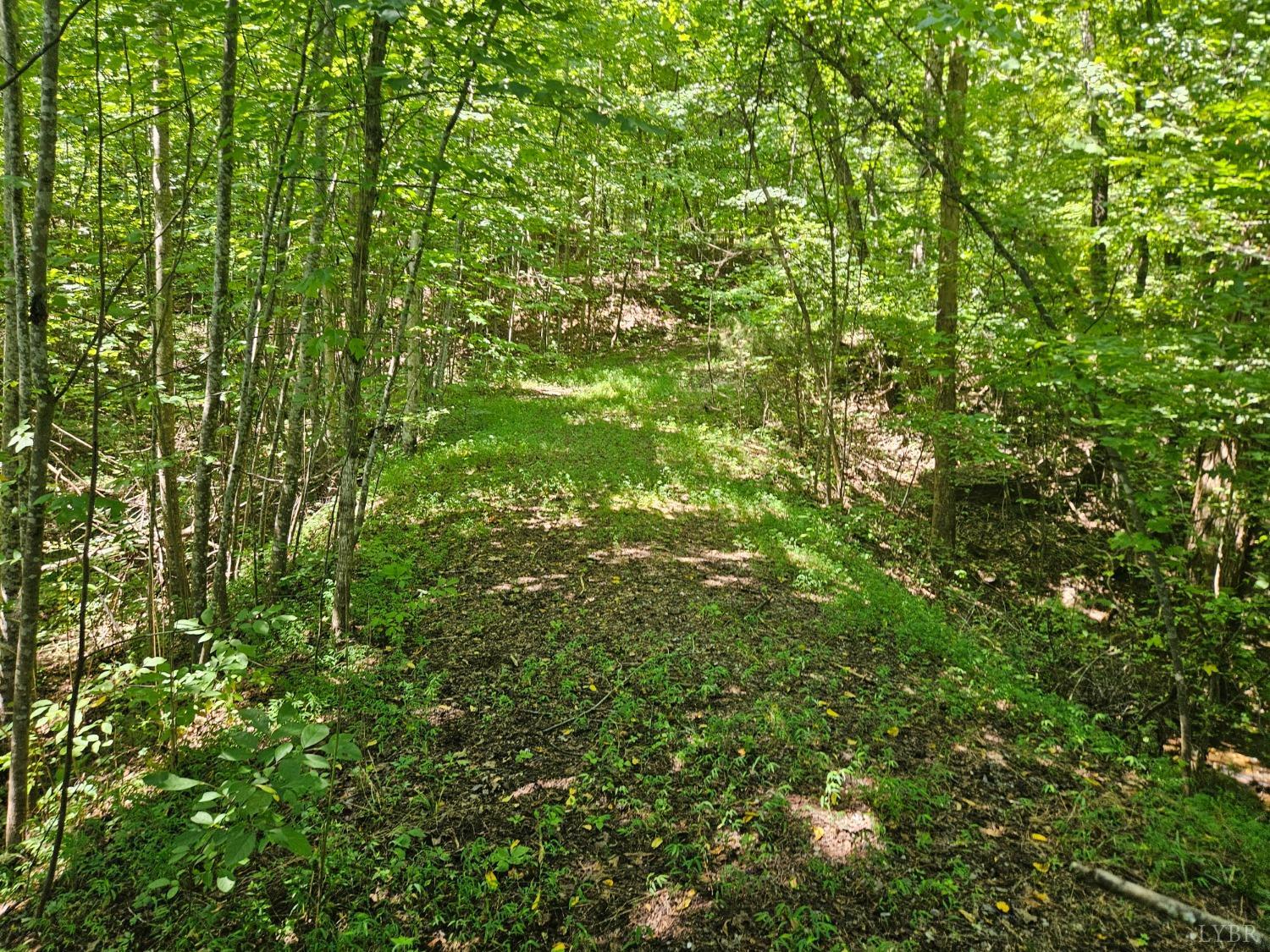 0 Gladys Road Altavista, VA 24517 - Photo 5 of 7