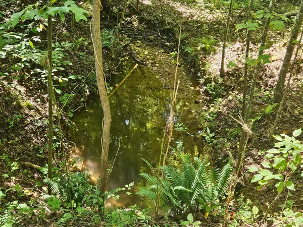 $42,900 | 0 Gladys Road, Altavista, VA 24517