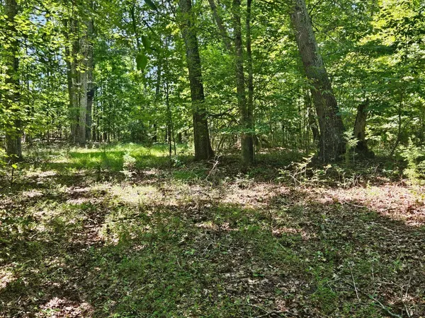 $42,900 | 0 Gladys Road, Altavista, VA 24517