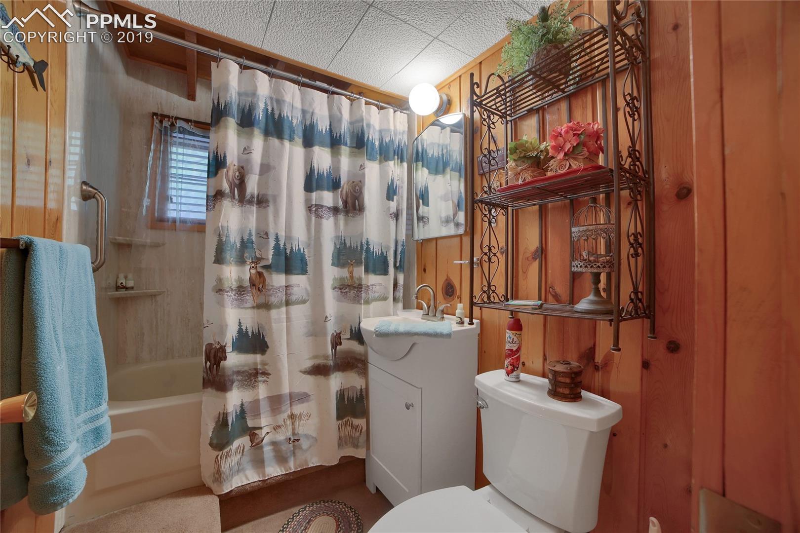 9770 Mountain Road Cascade, CO 80809 - Photo 27 of 36 Basement Bathroom
