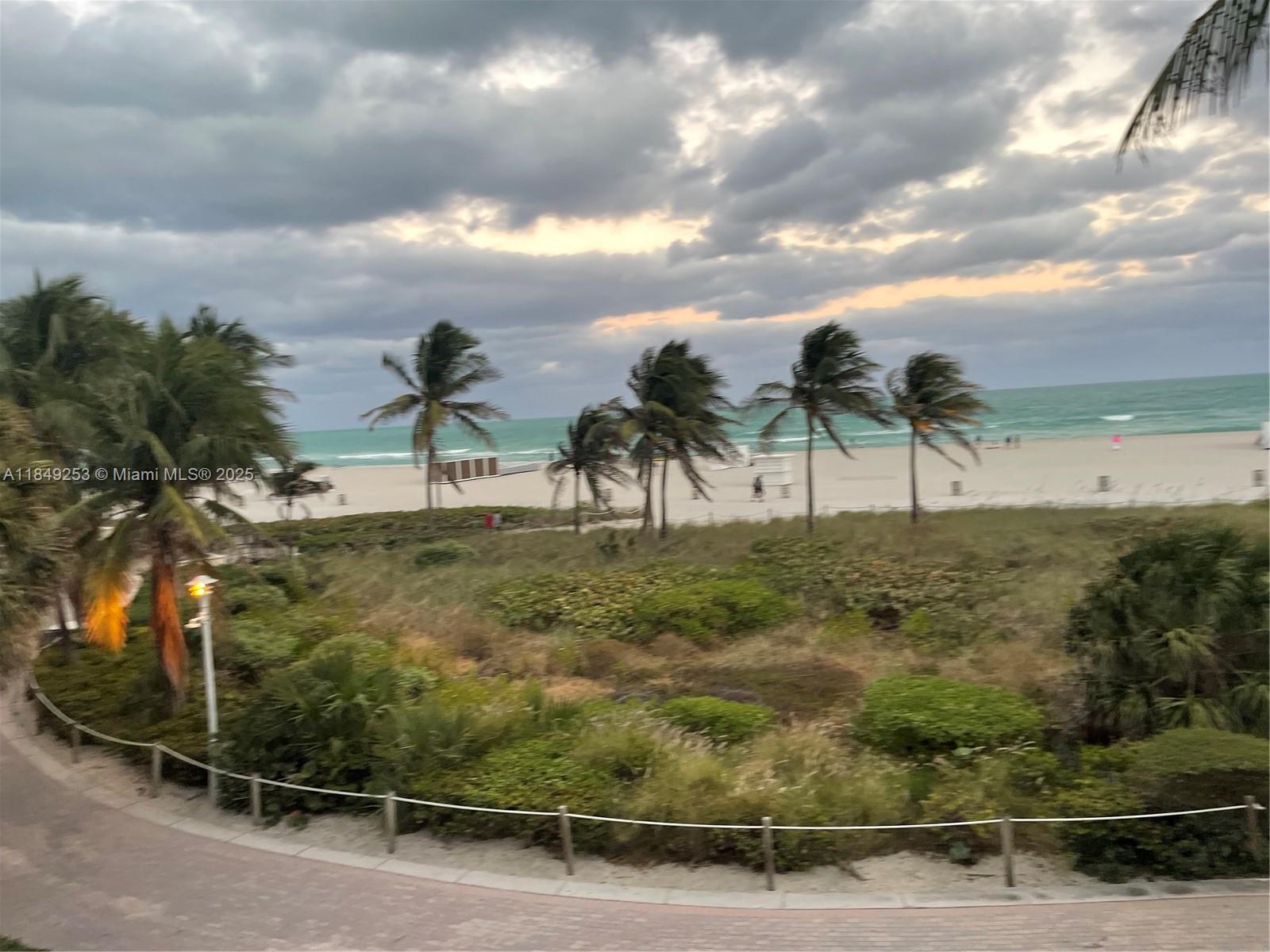 100 Lincoln Road, Unit 833 Miami Beach, FL 33139 - Photo 26 of 30 a view of a yard