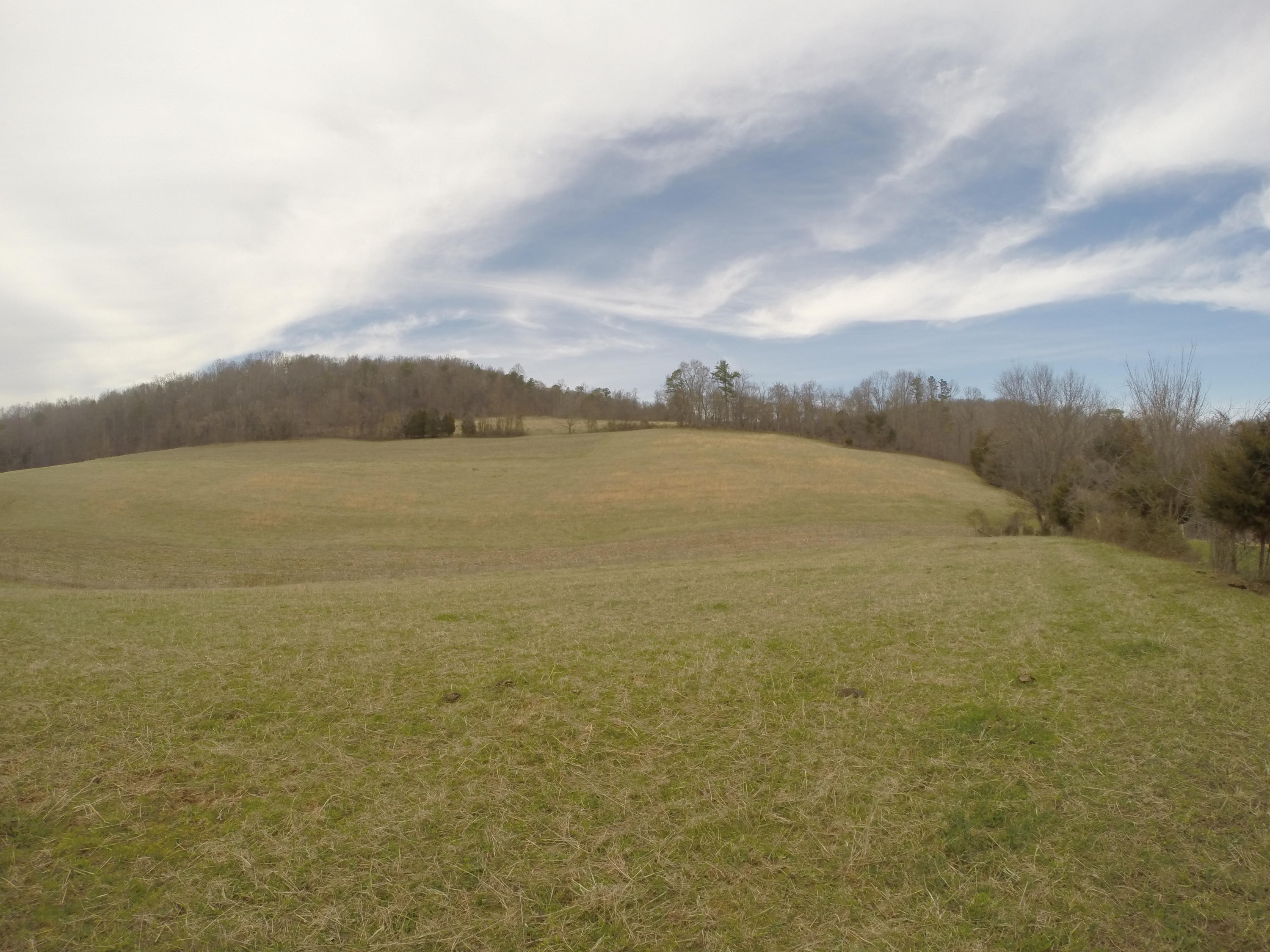 Clinch Valley Road Luttrell, TN 37779 - Photo 22 of 40 GOPR3149.JPG