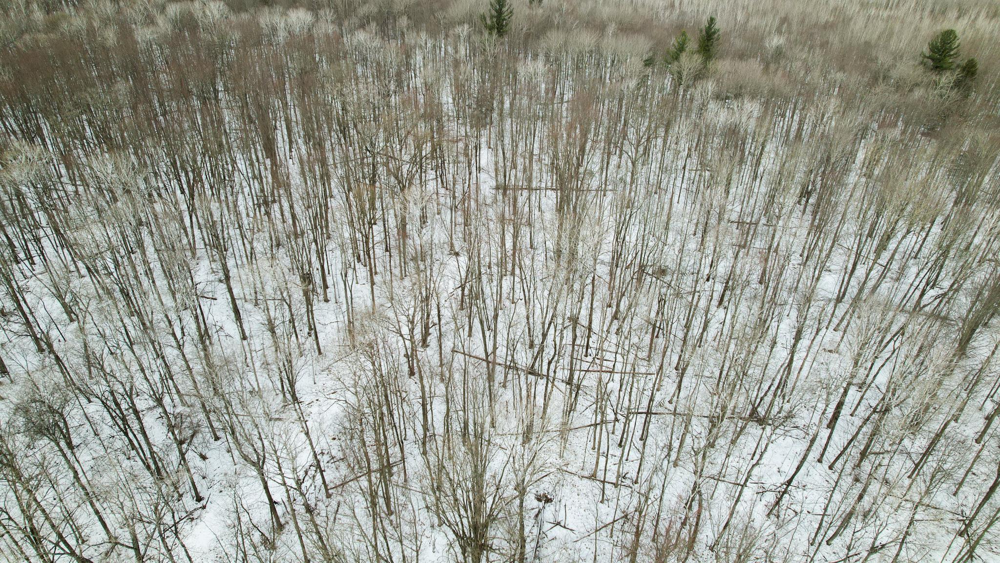 0 West Fike Road Sanford, MI 48657 - Photo 3 of 8