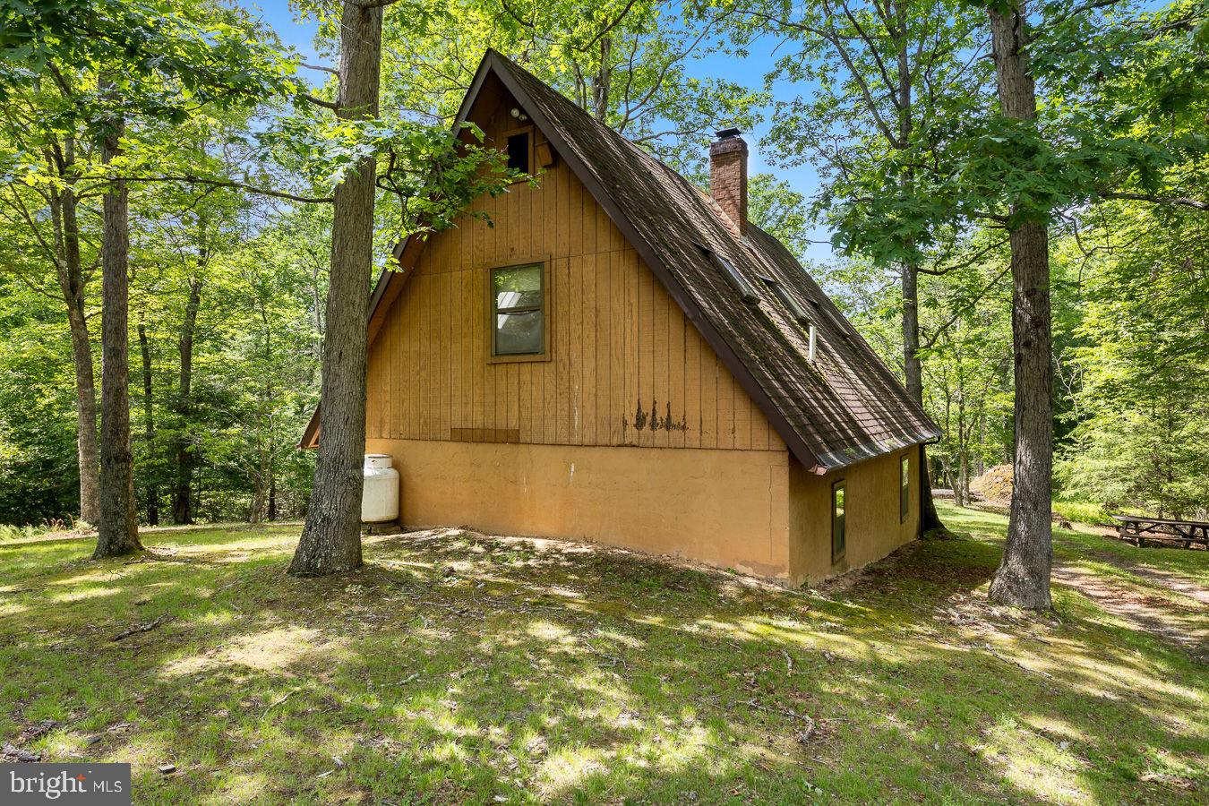 1499 Buggy Ridge Road Mount Jackson, VA 22842 - Photo 7 of 39