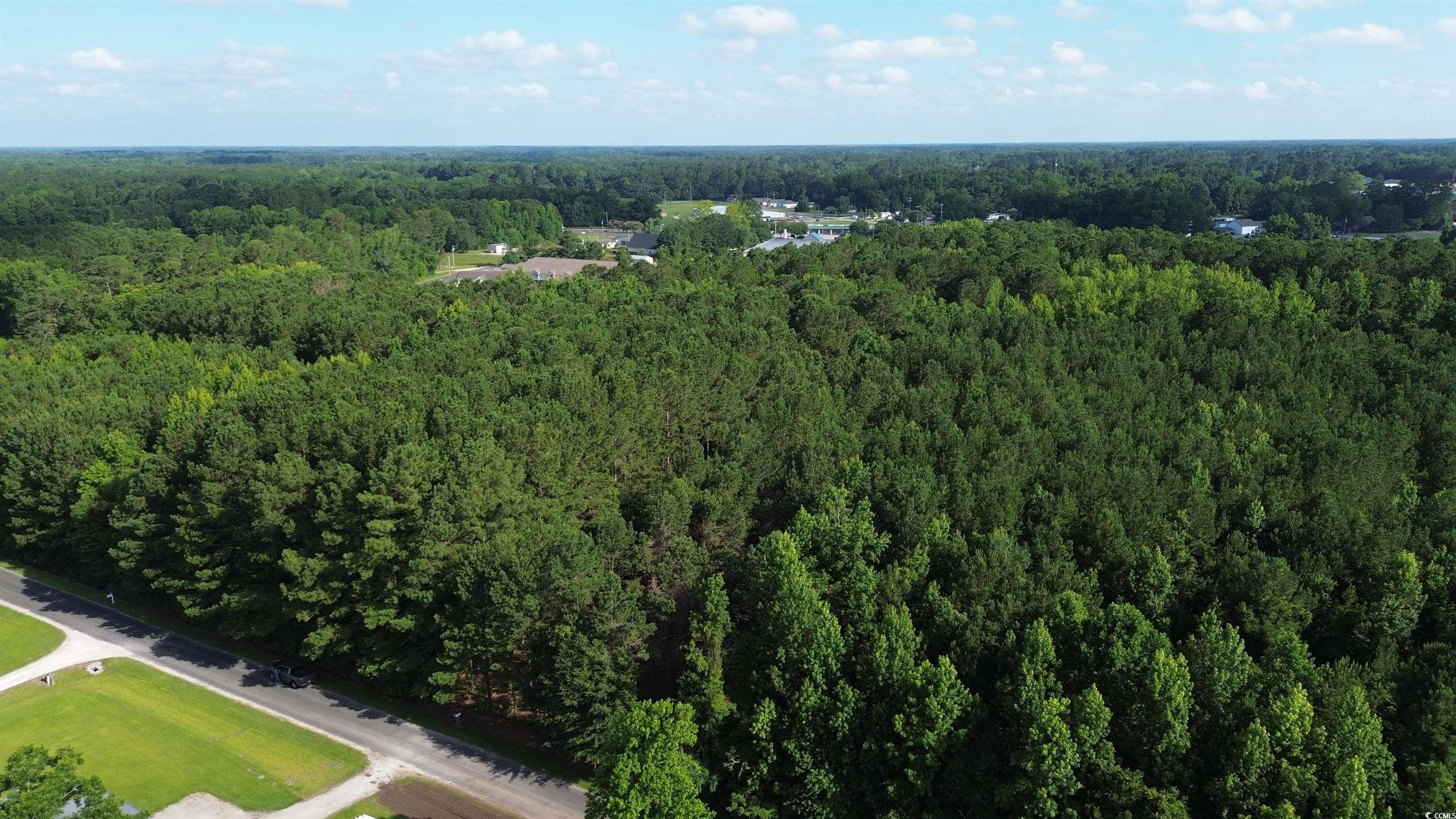762 Highway 762 Loris, SC 29569 - Photo 2 of 4 Aerial overview of property's location with a forest