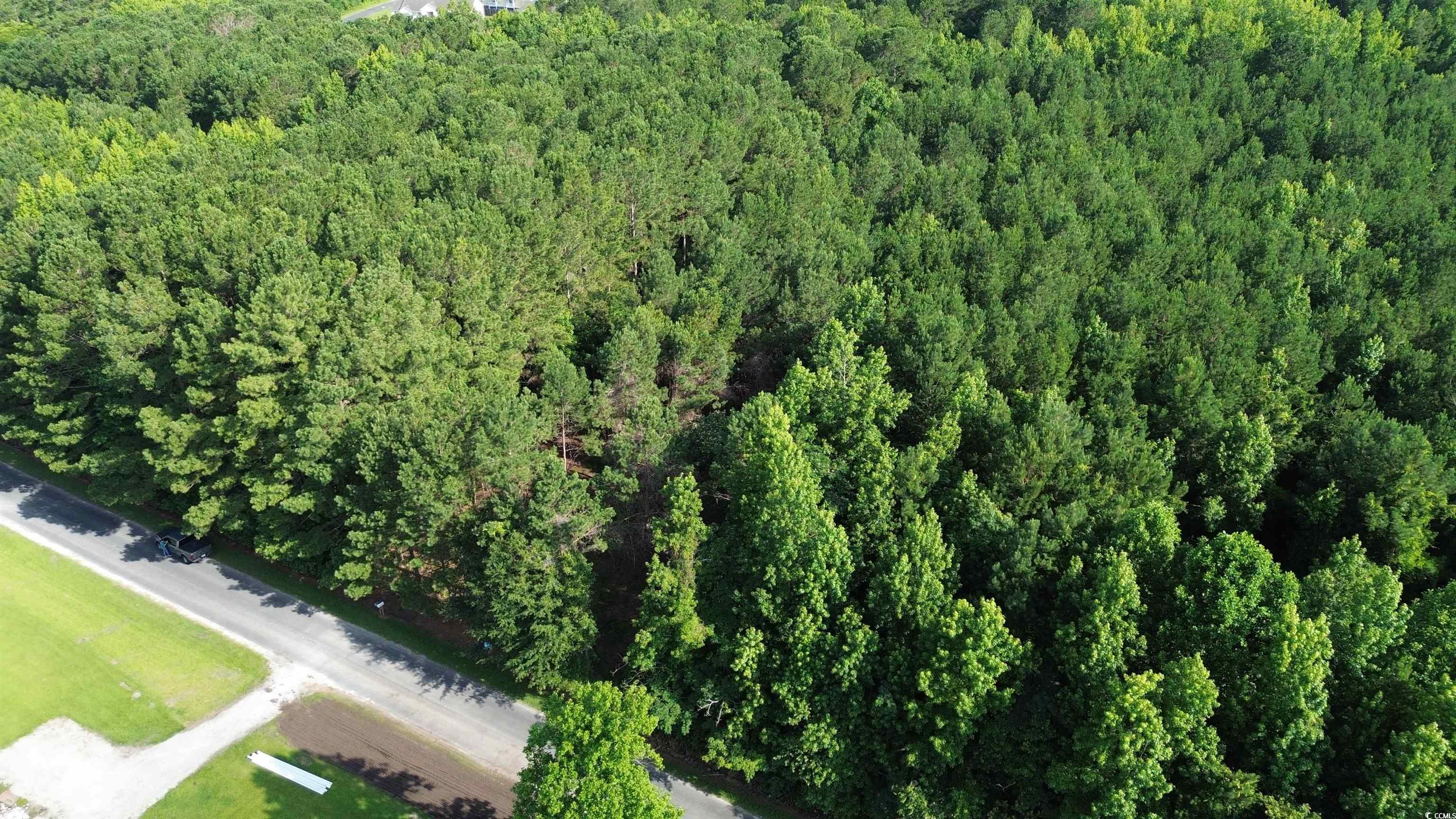 762 Highway 762 Loris, SC 29569 - Photo 4 of 4