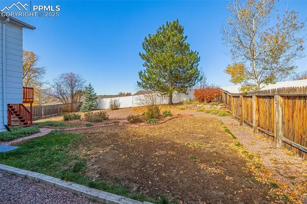a view of a yard with plants and a trees