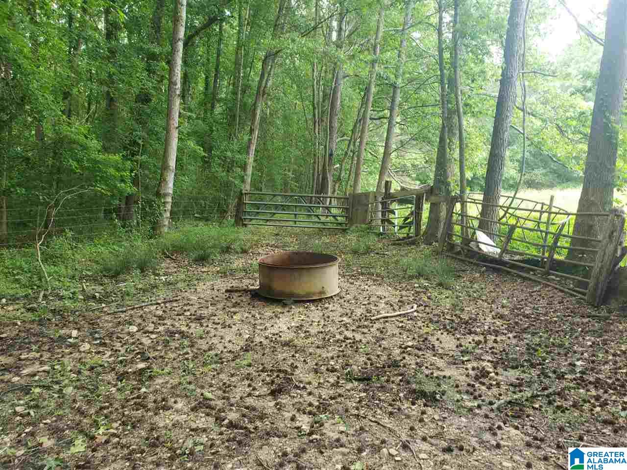 0 County Road 36 Heflin, AL 36264 - Photo 10 of 11