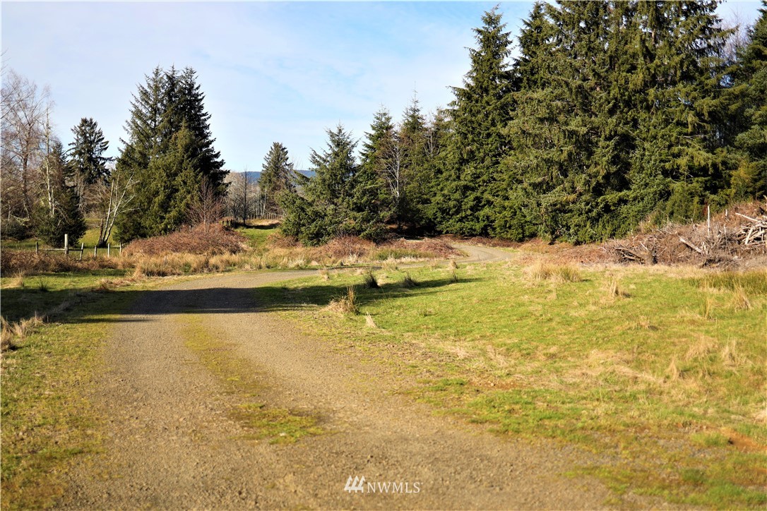 70 South Valley Road Naselle, WA 98638 - Photo 1 of 14 Gallery Image 1