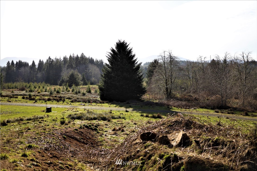 70 South Valley Road Naselle, WA 98638 - Photo 2 of 14 Gallery Image 2
