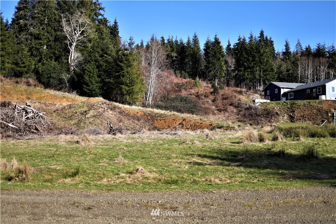 70 South Valley Road Naselle, WA 98638 - Photo 3 of 14 Gallery Image 3
