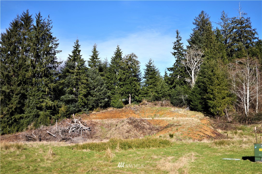70 South Valley Road Naselle, WA 98638 - Photo 4 of 14 Gallery Image 4