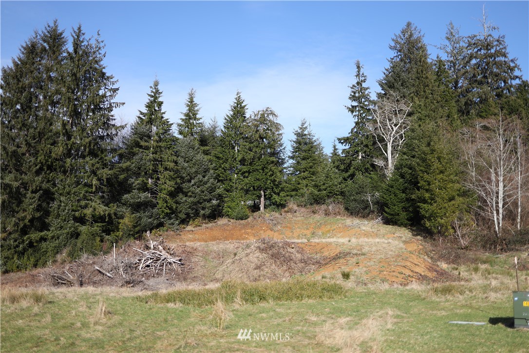 70 South Valley Road Naselle, WA 98638 - Photo 6 of 14 Gallery Image 6