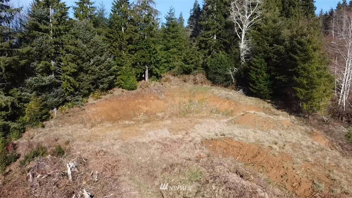 70 South Valley Road Naselle, WA 98638 - Photo 8 of 14 Gallery Image 8