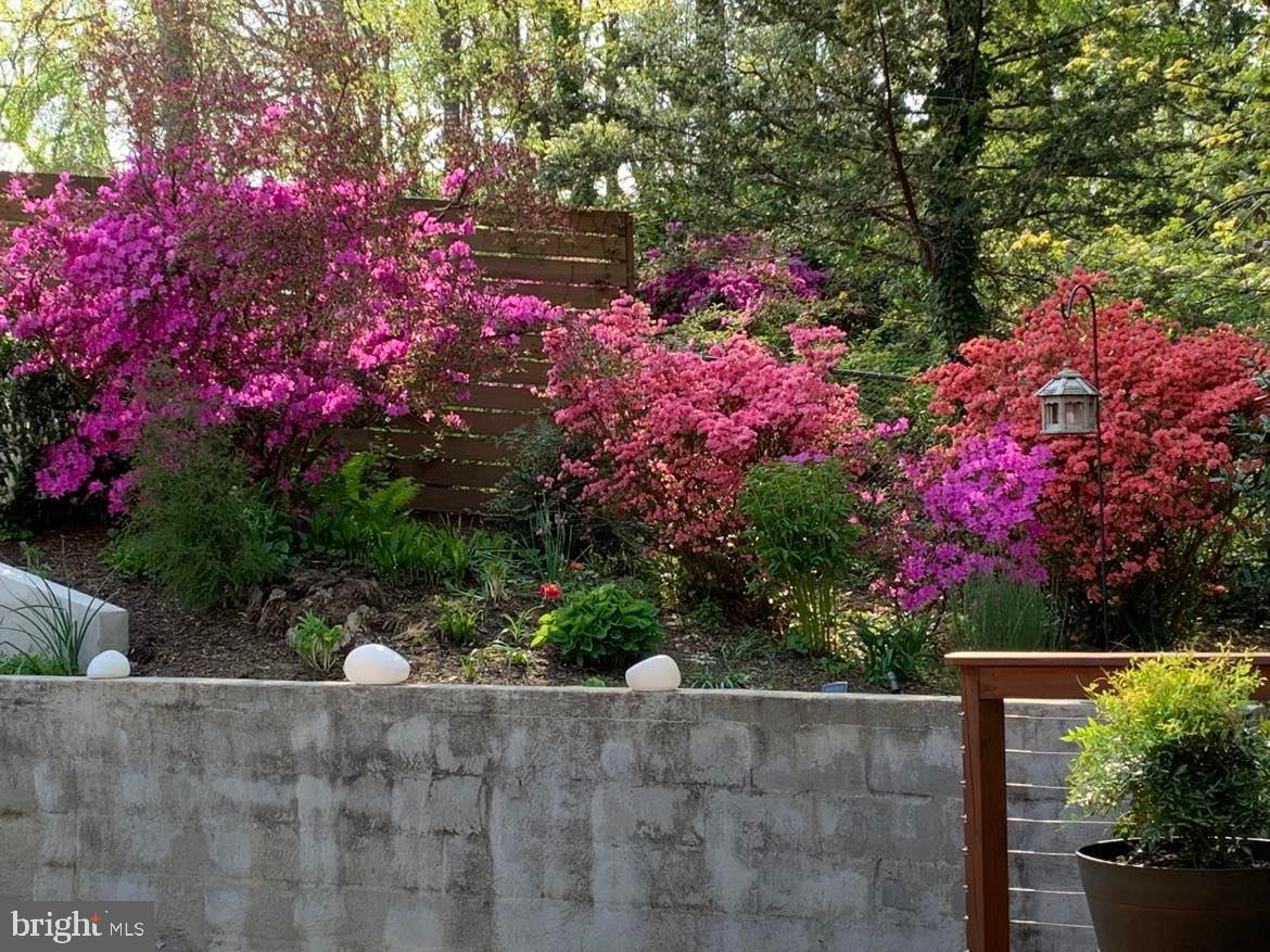 9020 Hamilton Drive Fairfax, VA 22031 - Photo 59 of 73